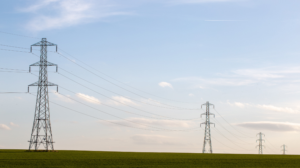 Pylons in a field